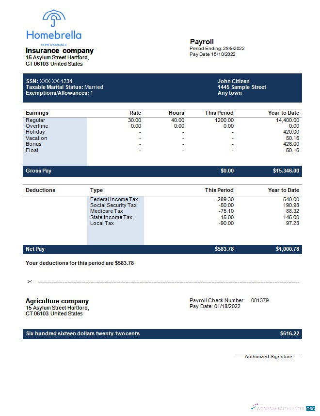 Download insurance company fully editable earning statement template in Word and PDF formats Photoshop template